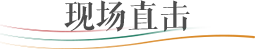 现场直击